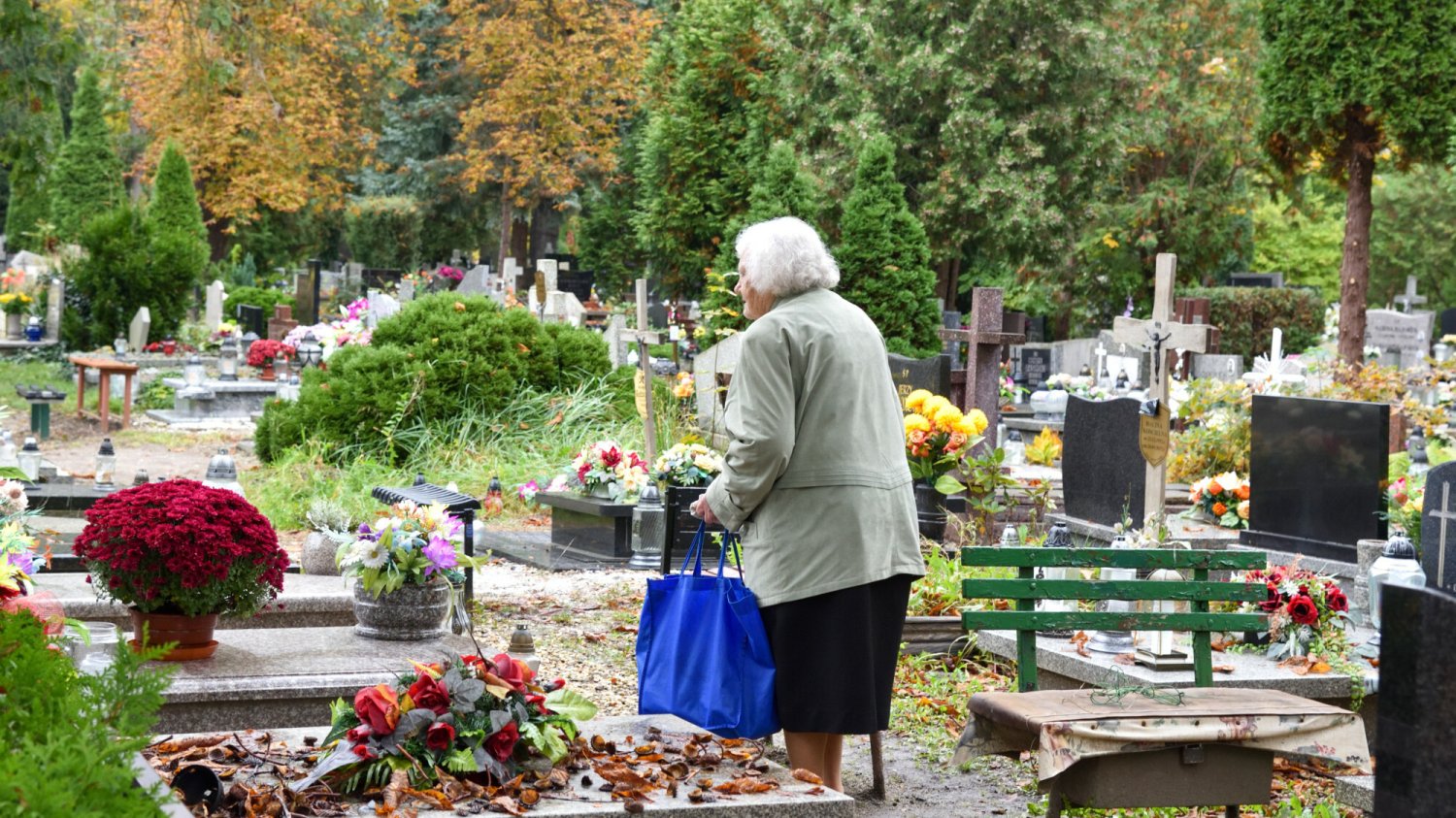 Tyle kosztują znicze i kwiaty przy cmentarzach – Wszystkich Świętych / Dzień Zmarłych 2023.