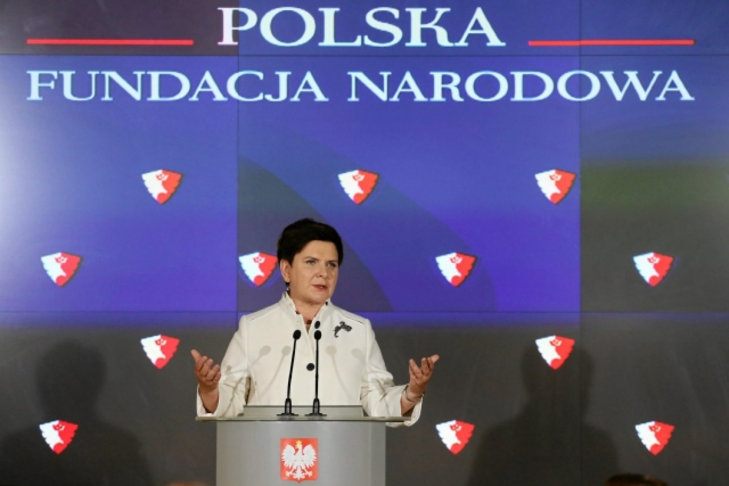 Polska Fundacja Narodowa założona z inicjatywy ówczesnej premier, Beaty Szydło, wynajęła właśnie agencję PR, m.in. do dbania o własny wizerunek