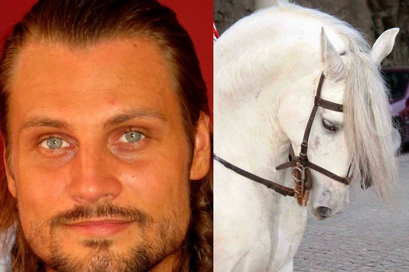 Kristian Bergier wpadł na pomysł, który może się wydawać szalony. Polak rozpoczął właśnie podróż z Podlasia do Afryki. Trasę dzielącą oba miejsca zamierza przebyć... konno