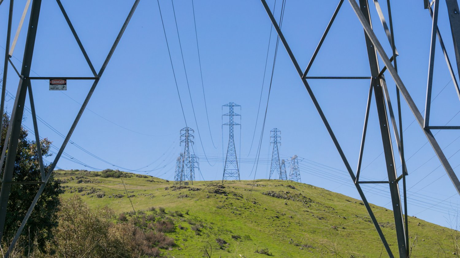 PGE zamierza w przyszłości postawić na zieloną energię.