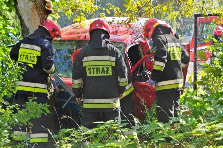 Wiele osób podstawia samochody pod złamane drzewa, sugerując, że to one są odpowiedzialne za wcześniejsze uszkodzenia
