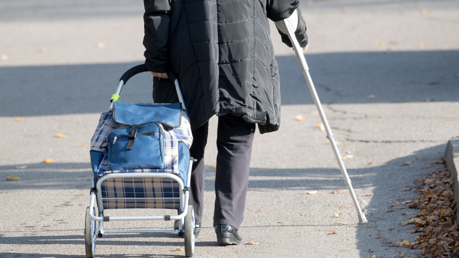 Nowe dane dot. demografii