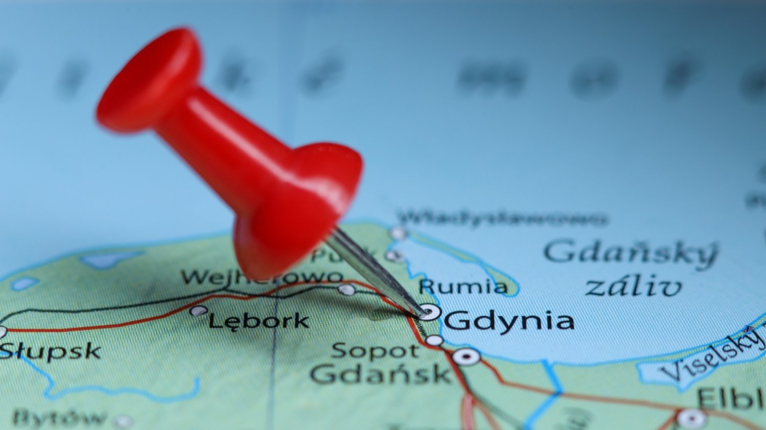 Gdynia ma 17 pomysłów na to, jak pozbyć się dzików. Nie, nie ma wśród nich strzelania Mapa Polski z pinezką wbitą w nazwę miasta Gdynia.