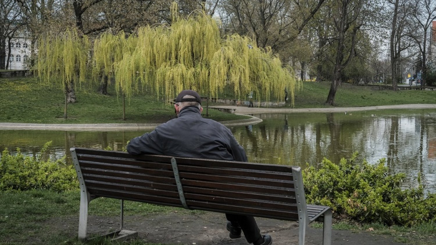W sprawie chodzi o mandat za przebywanie w parku.