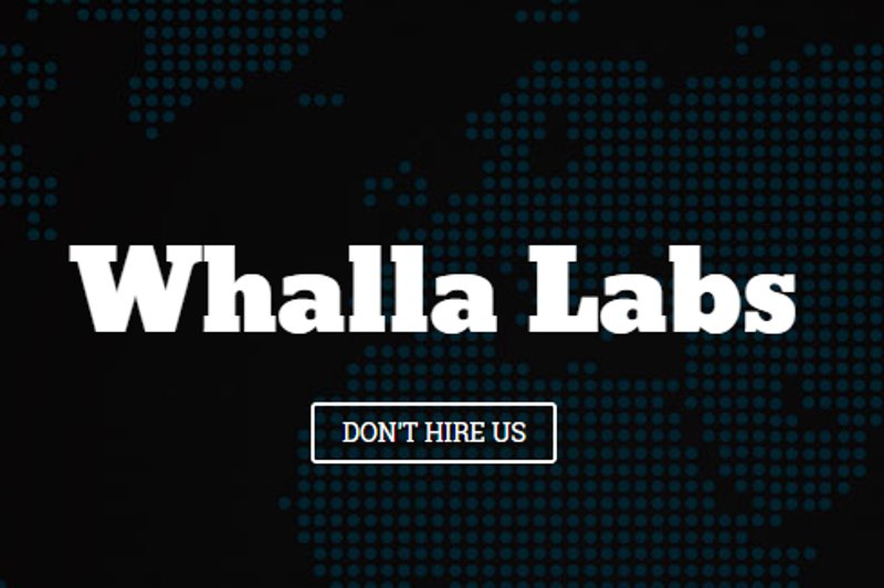 Polska firma Whalla Labs nie bierze każdego klienta - wybiera tylko tych z ciekawymi projektami. "Dzięki temu ludziom chce się pracować"