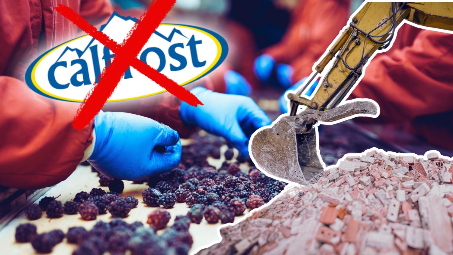 Ukraiński gigant zrównał kaliski zakład z ziemią. Po zwolnieniach wjechały buldożery Zakład procy z mrożonkami, przekreślone logo Calfrost i ramię koparki oraz gruz. Zakład Calfrost przejęty przez Polaka. Ukraińcy zabrali sprzęt teraz czas na wyburzenie