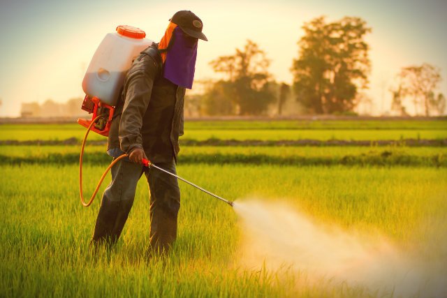 Naukowcy z Uniwersytetu Warszawskiego opracowali metodę, która znacznie ograniczy opryski i mineralne nawożenie gleb