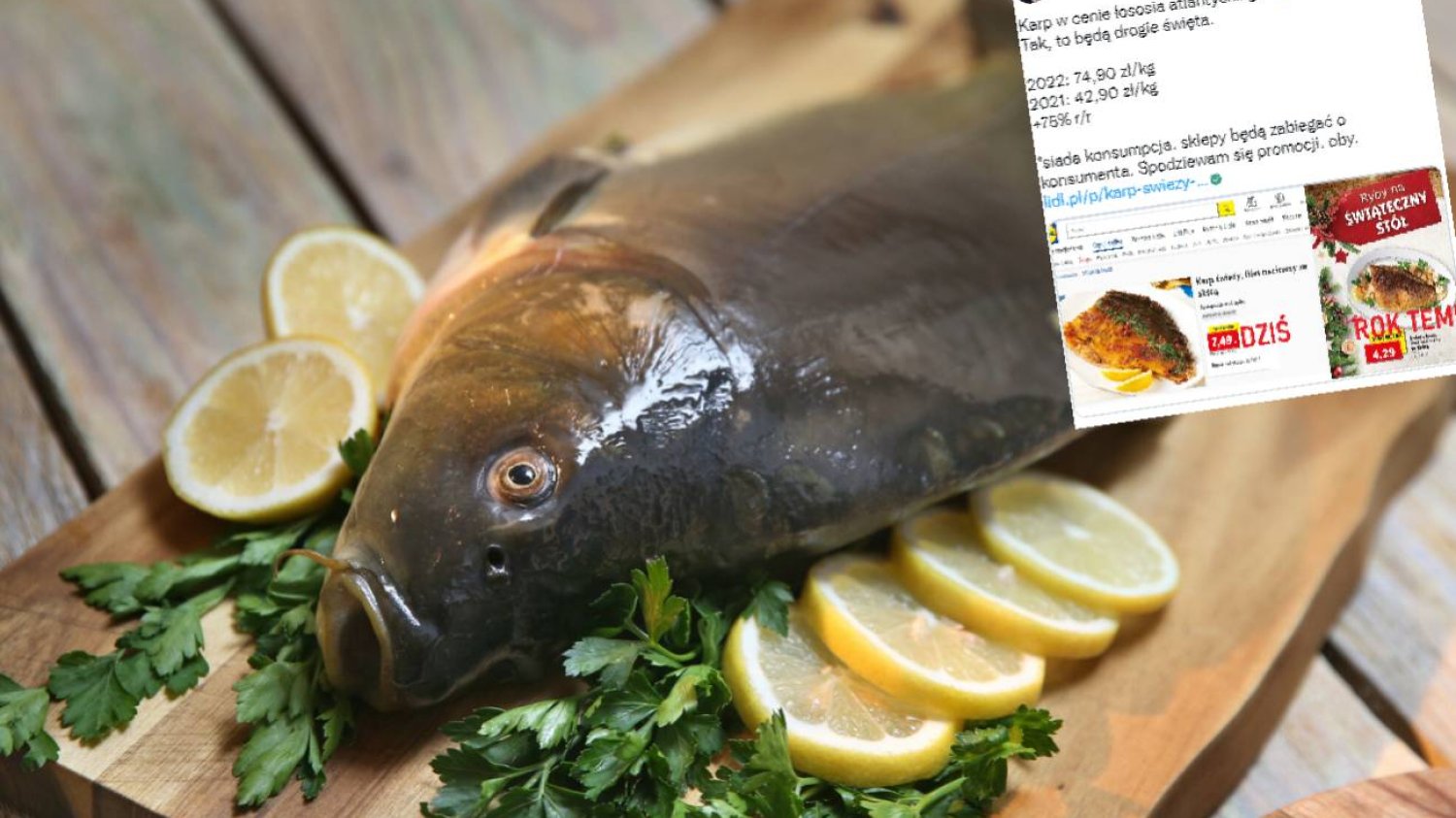 Karp