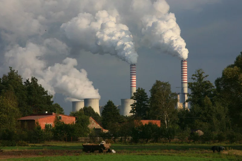 Elektrownia Bełchatów jest największym ośrodkiem w Europie, gdzie do wytwarzania energii używa się węgla brunatnego, w którym występuje najwięcej rtęci.