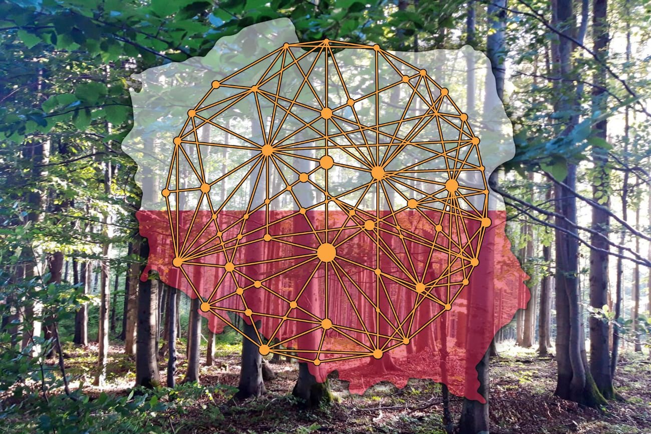 Wykupują lasy i zmieniają je w puszczę. Znaleźli hak w systemie