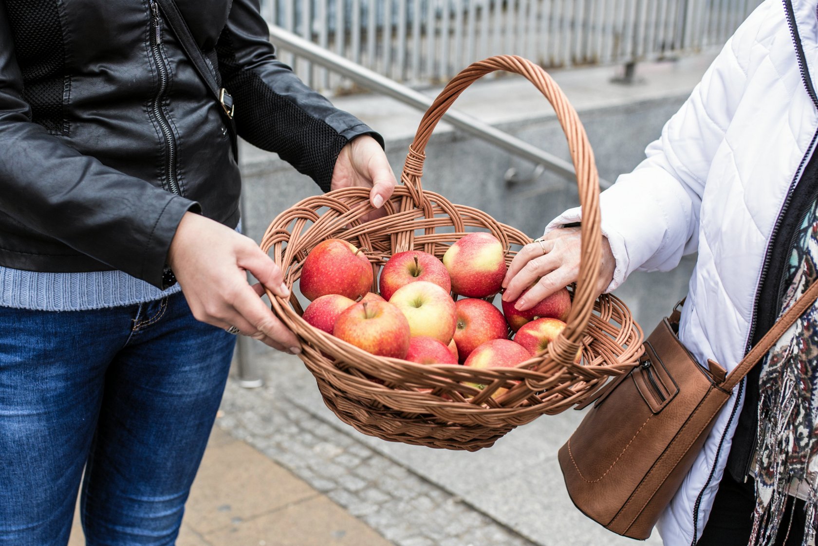 Polskie jabłka podbijają francuski rynek. Konkurenci znad Sekwany nie są z tego powodu zadowoleni.