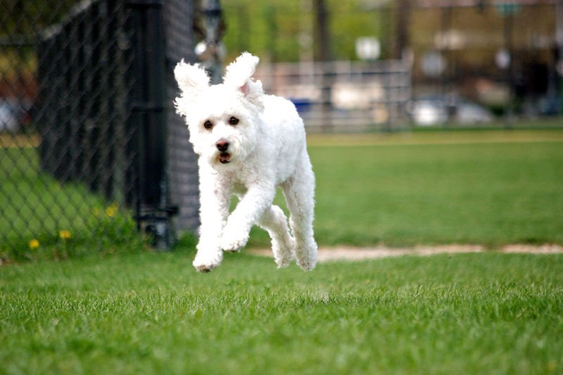 100 tys. zł na miejski akcelerator dla startupów to niewiele.