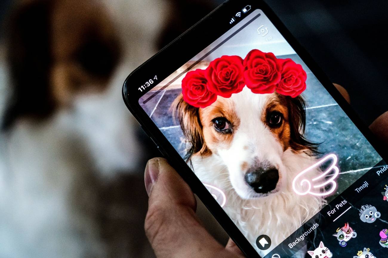 Google stawia na zwycięski format i zwiększa nakład prac, by odróżnić się od TikToka.