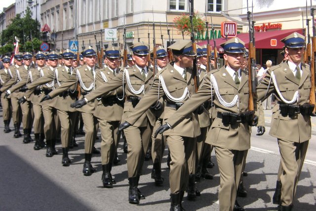 Fot. [url=http://bit.ly/1Oc4Nt4]Halibutt[/url] / [url=http://bit.ly/K9eh9h]CC-BY-SA[/url]