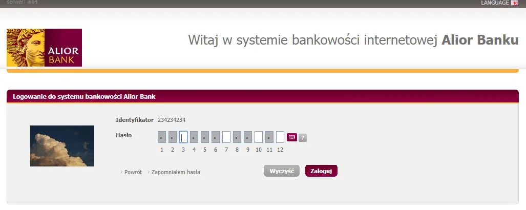 Panel logowania - fomularz hasła.