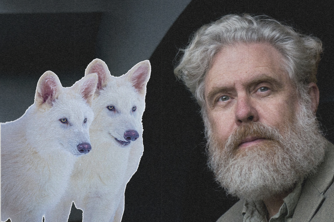 Wilki i George Church.