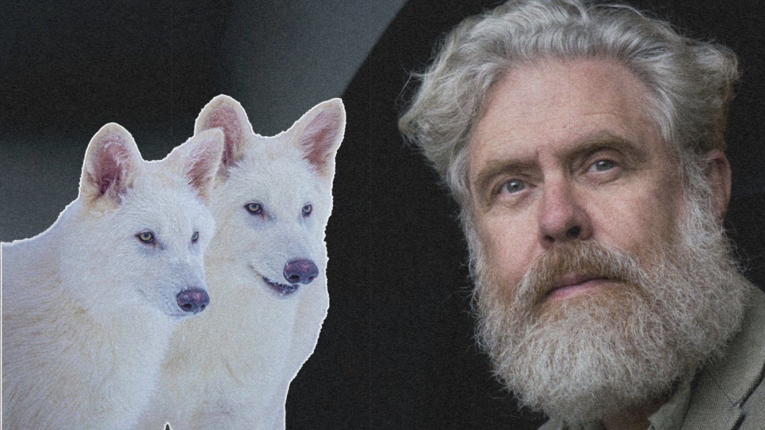 Wilki i George Church.