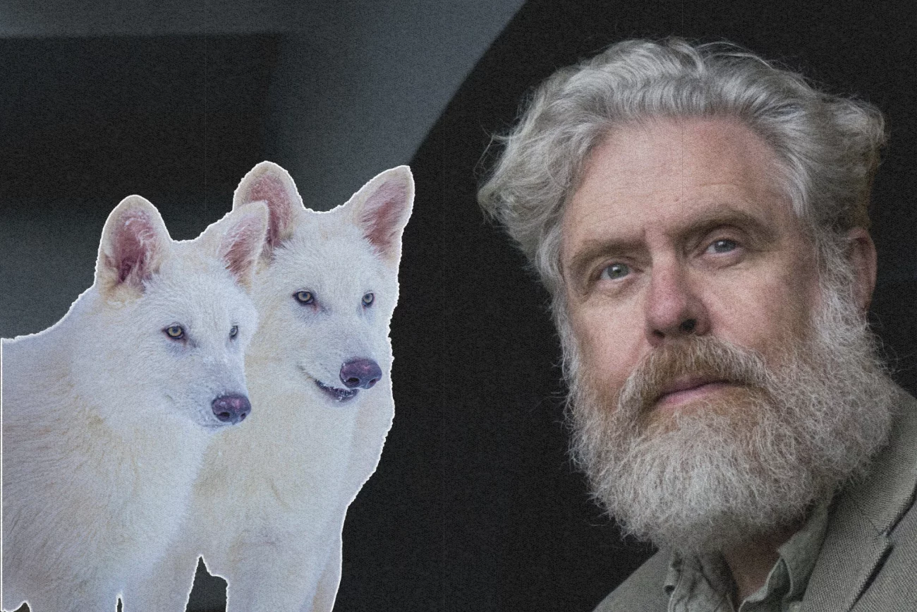 Wilki i George Church.