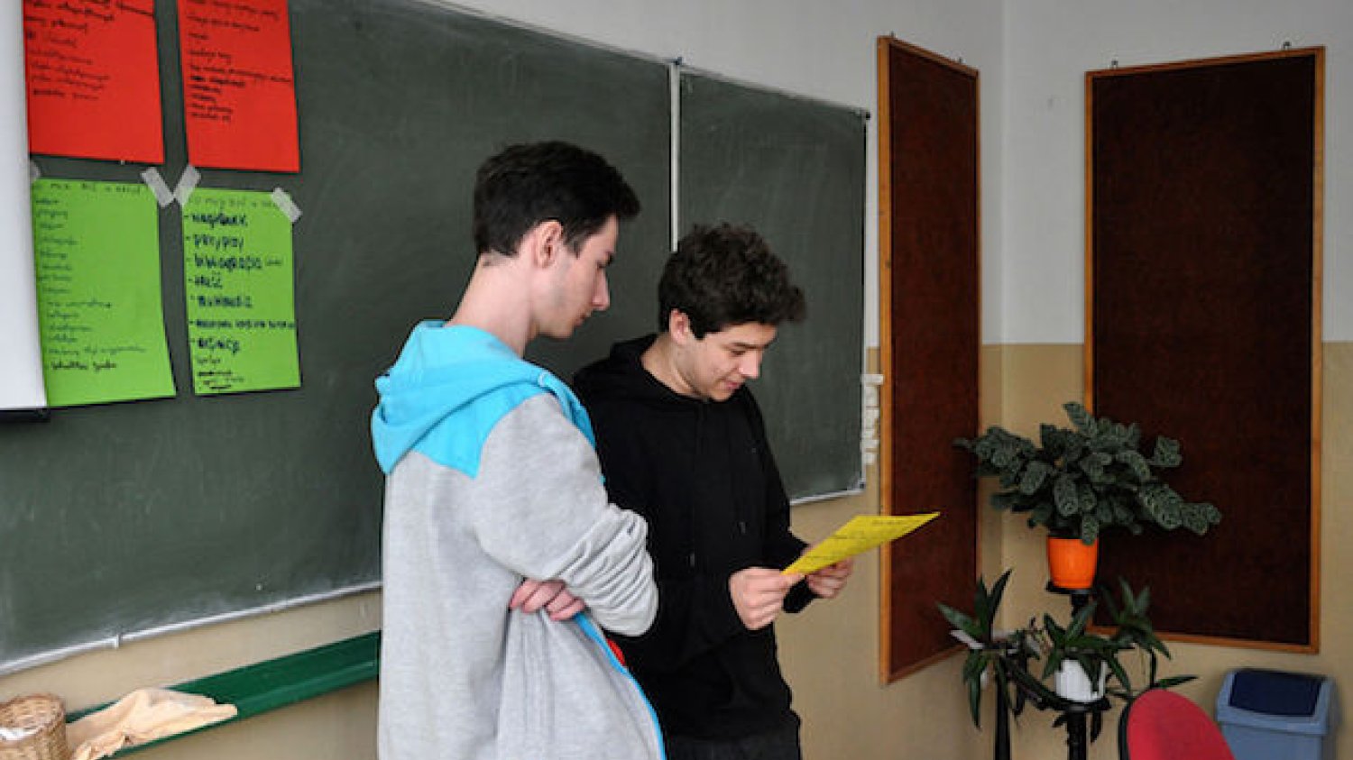 Czy w przyszłości będzie w Polsce coachingowa klęska urodzaju?