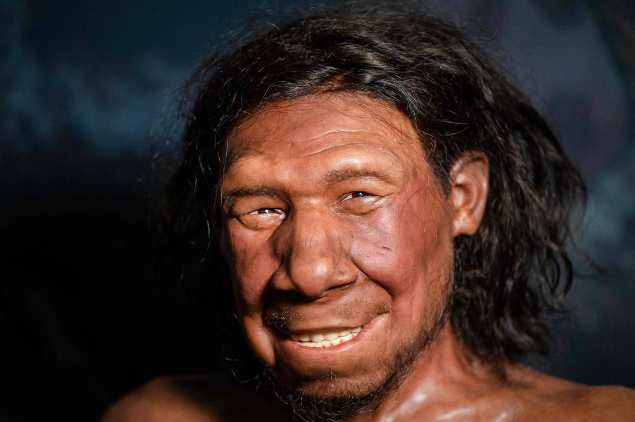 Rekonstrukcja twarzy neandertalczyka