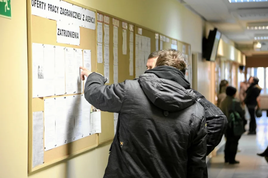 Zaledwie 5 proc. młodych Polaków dopuszcza myśl o pracy za darmo.