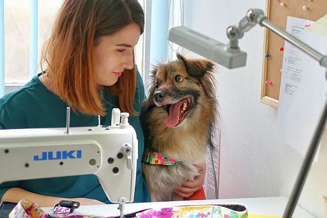 Szycie obróż i smyczy to ręczna robota