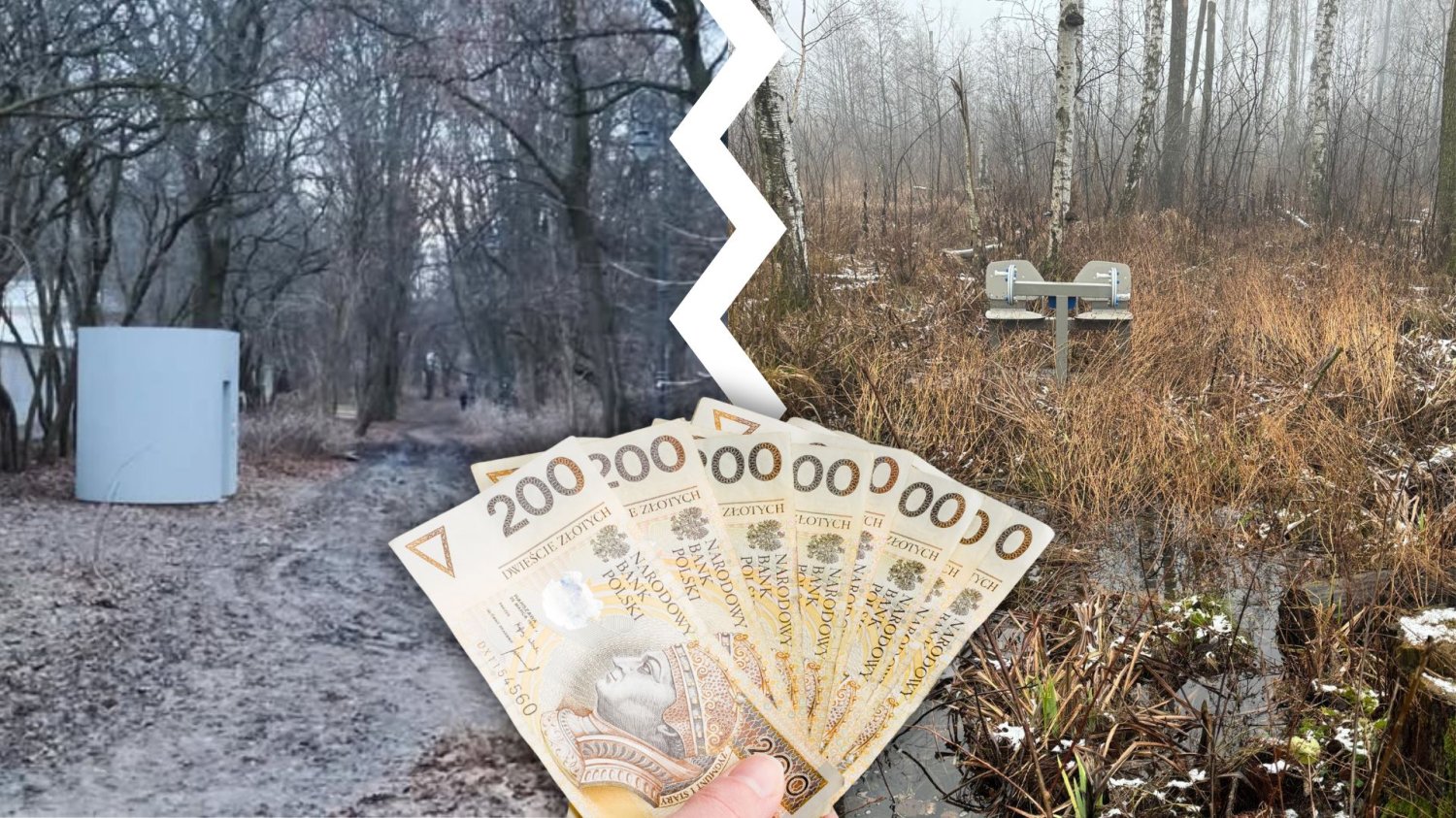 "Czarna Księga" wydatków publicznych. 5 inwestycji tak absurdalnych, że aż trudno w nie uwierzyć. Toaleta w parku, sprzęt do ćwiczeń wśród zarośli, plik banknotów.