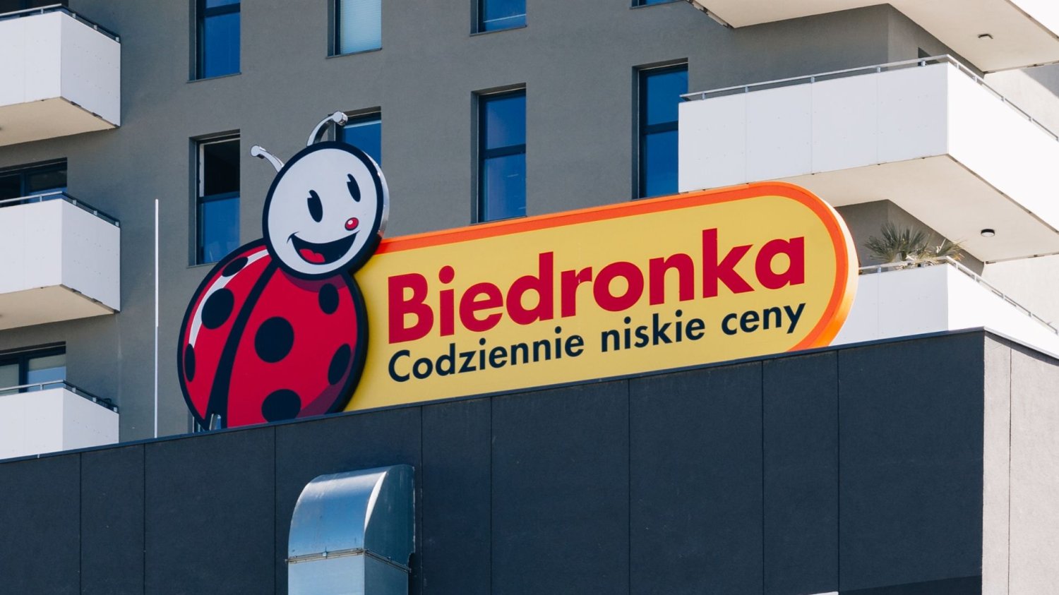 Podwyżki w Biedronce od stycznia 2026. Najwyższe pensje w historii sieci.