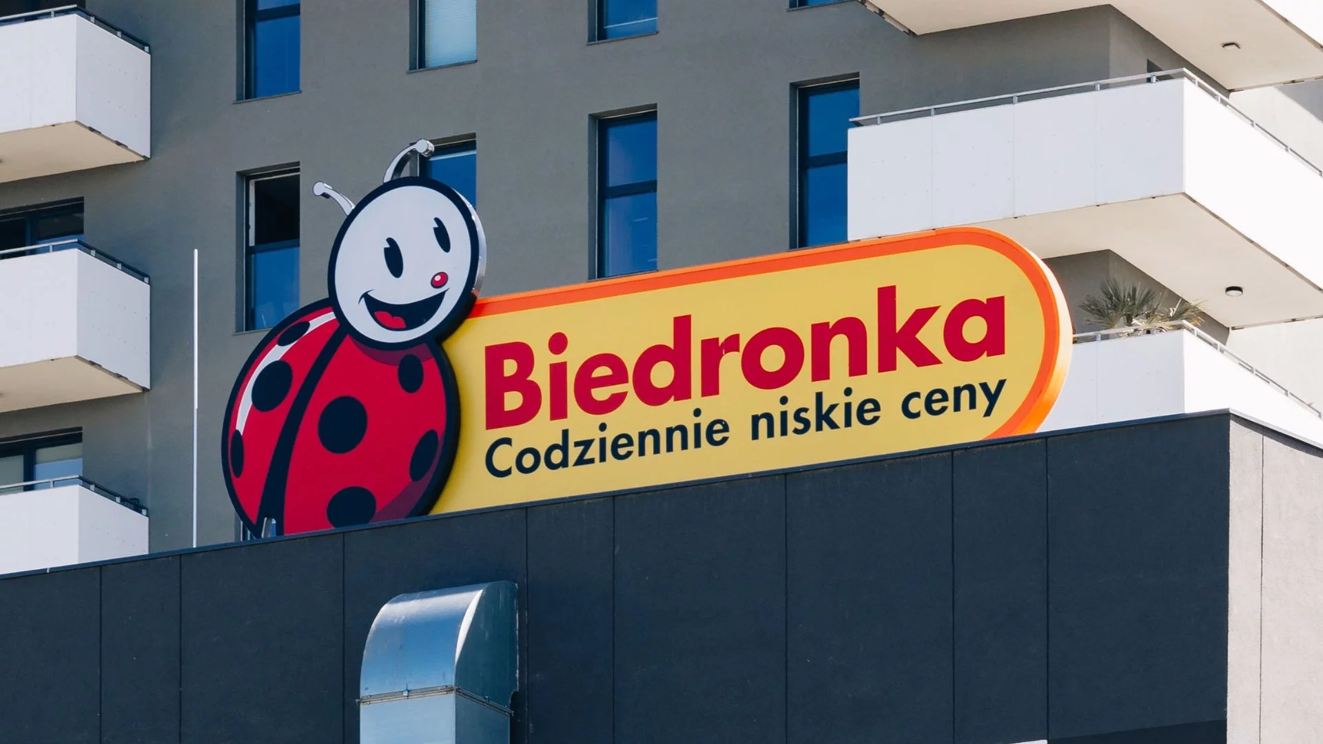 Podwyżki w Biedronce od stycznia 2026. Ucieszą się nie tylko kasjerki