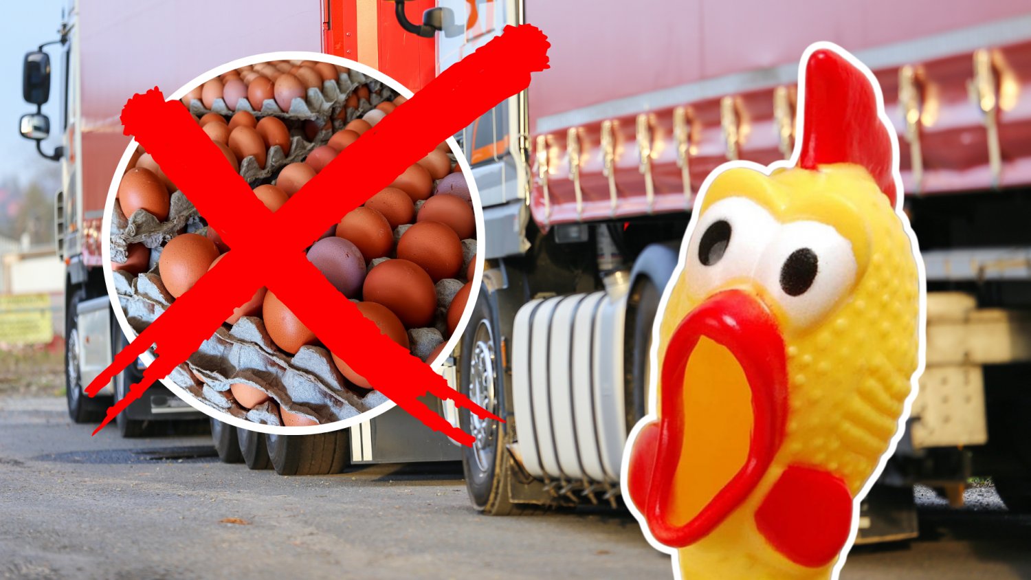 Transport żywności z Ukrainy zatrzymany. Cofnęli nagle 300 tysięcy sztuk jaj
