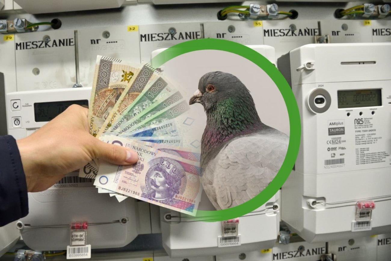 Poznaliśmy prognozy zagranicznych ekonomistów ws. Polski