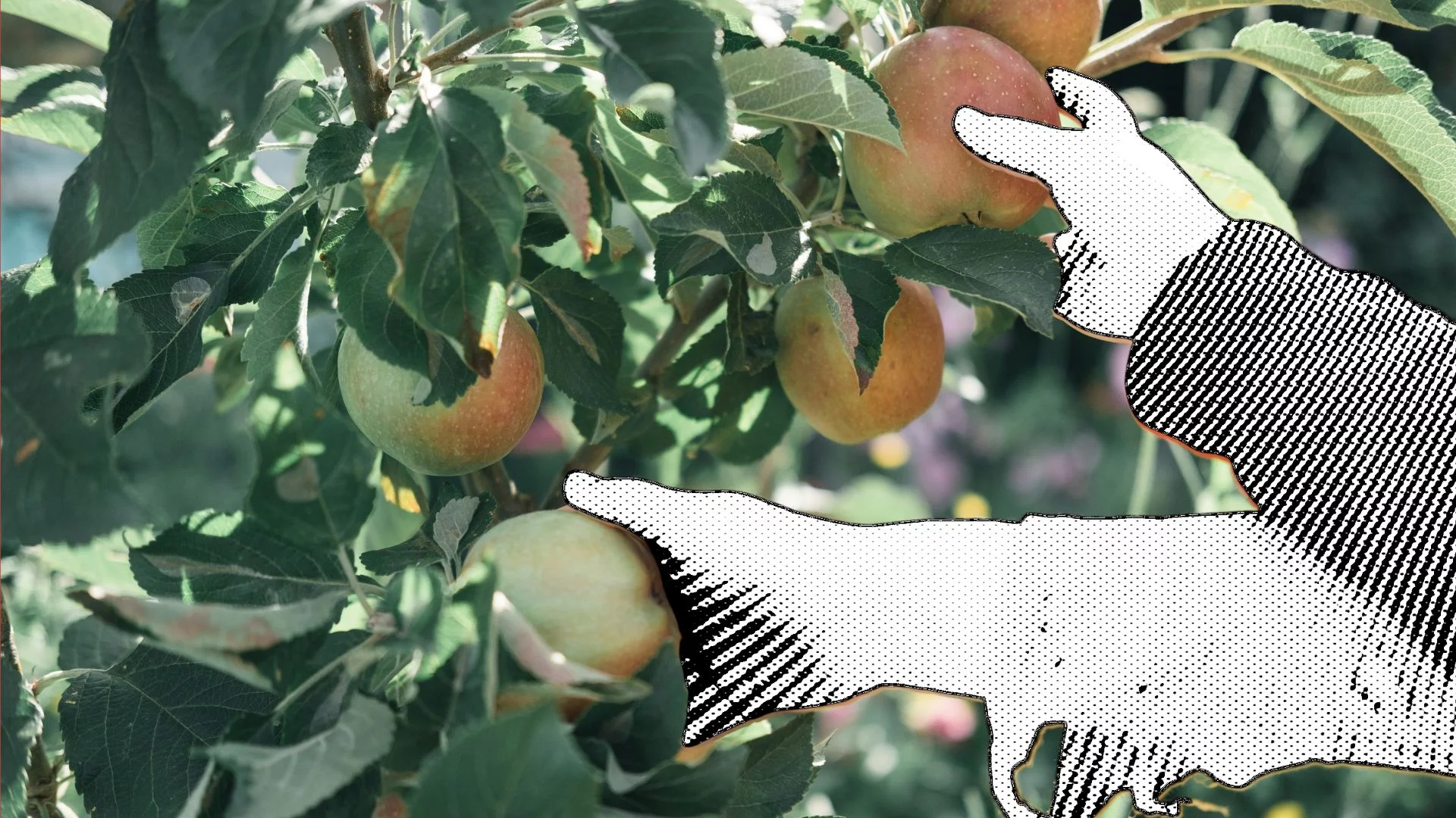 Walczą o pracowników, ale chętnych brak. "Polaków w ogóle nie mamy"