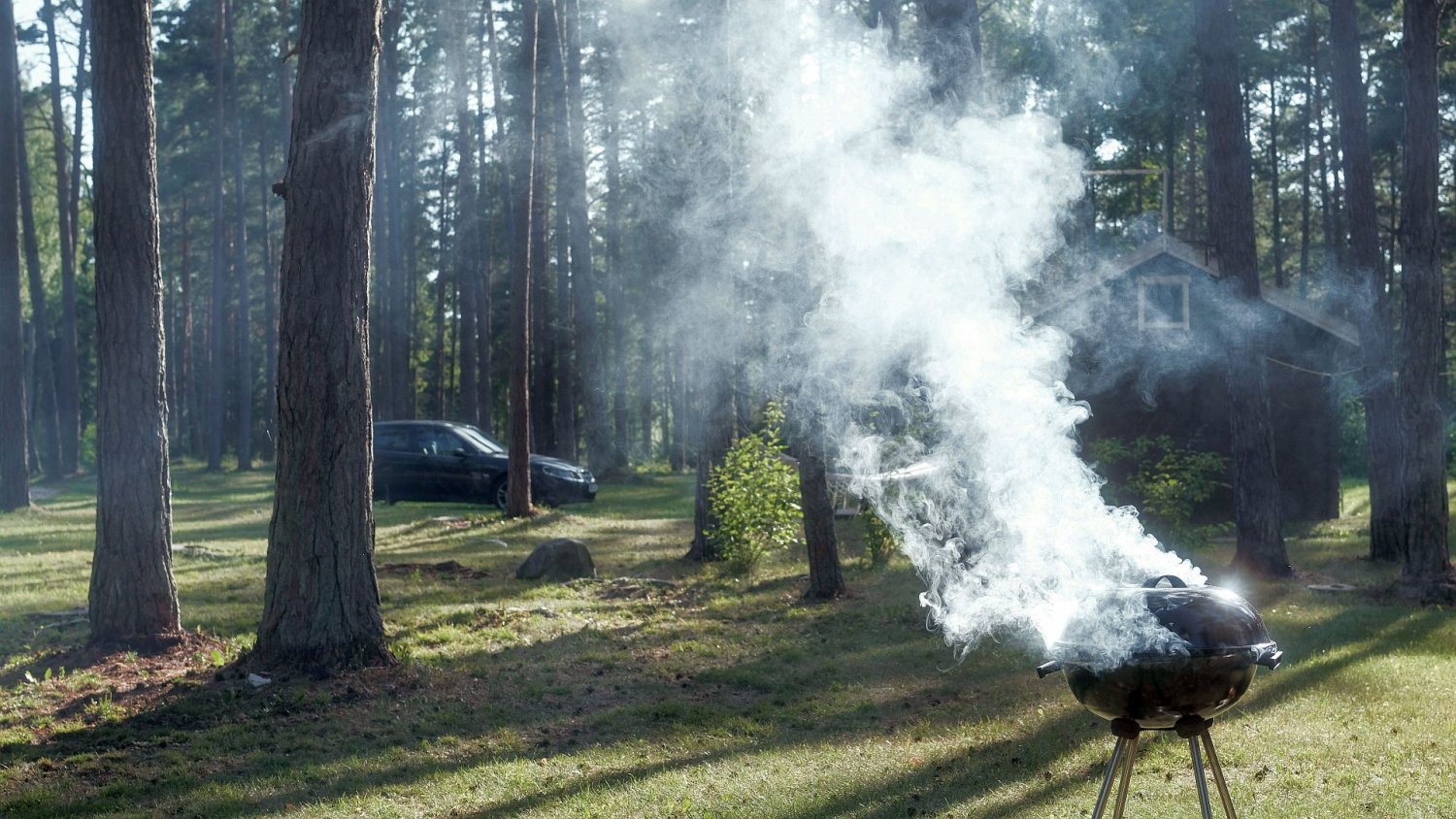 Majówkowy mandat za grilla. Sprawdź, jak nie zapłacić 500 zł za kiełbasę z rusztu