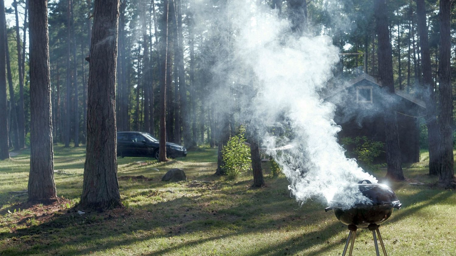 Majówkowy mandat za grilla. Sprawdź, jak nie zapłacić 500 zł za kiełbasę z rusztu dymiący grill w lesie