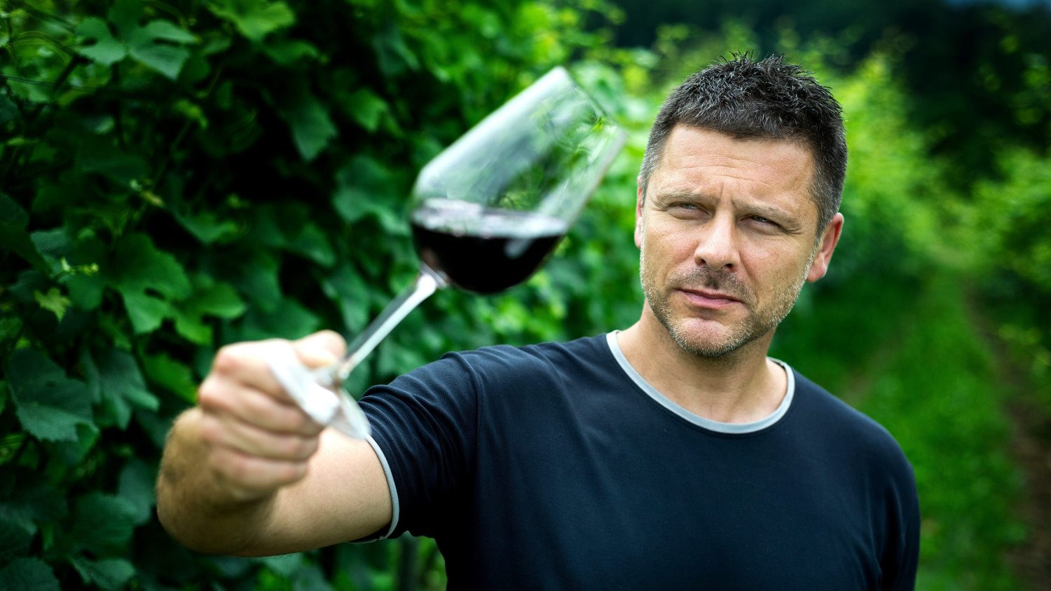 Jak pokazują badania, wino ma szereg właściwości zdrowotnych