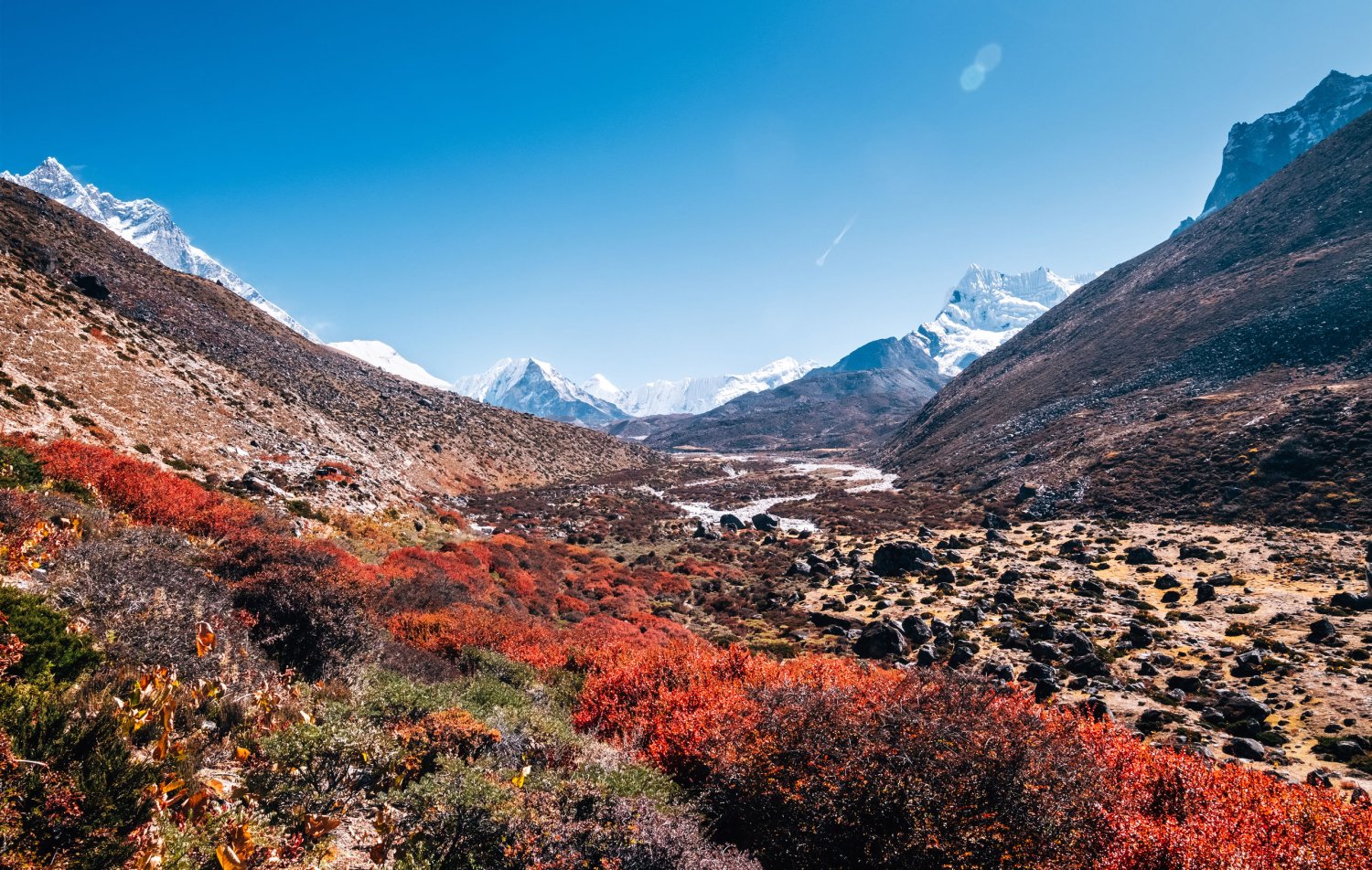 Połowa ziemskiego lądu wciąż w małym stopniu została wyeksploatowana przez człowieka.