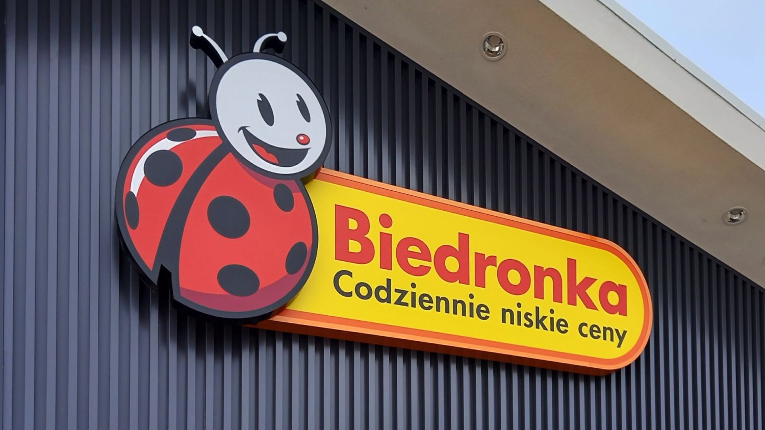 Biedronka z pilnym komunikatem. Klienci mają czas tylko do 2 grudnia.
