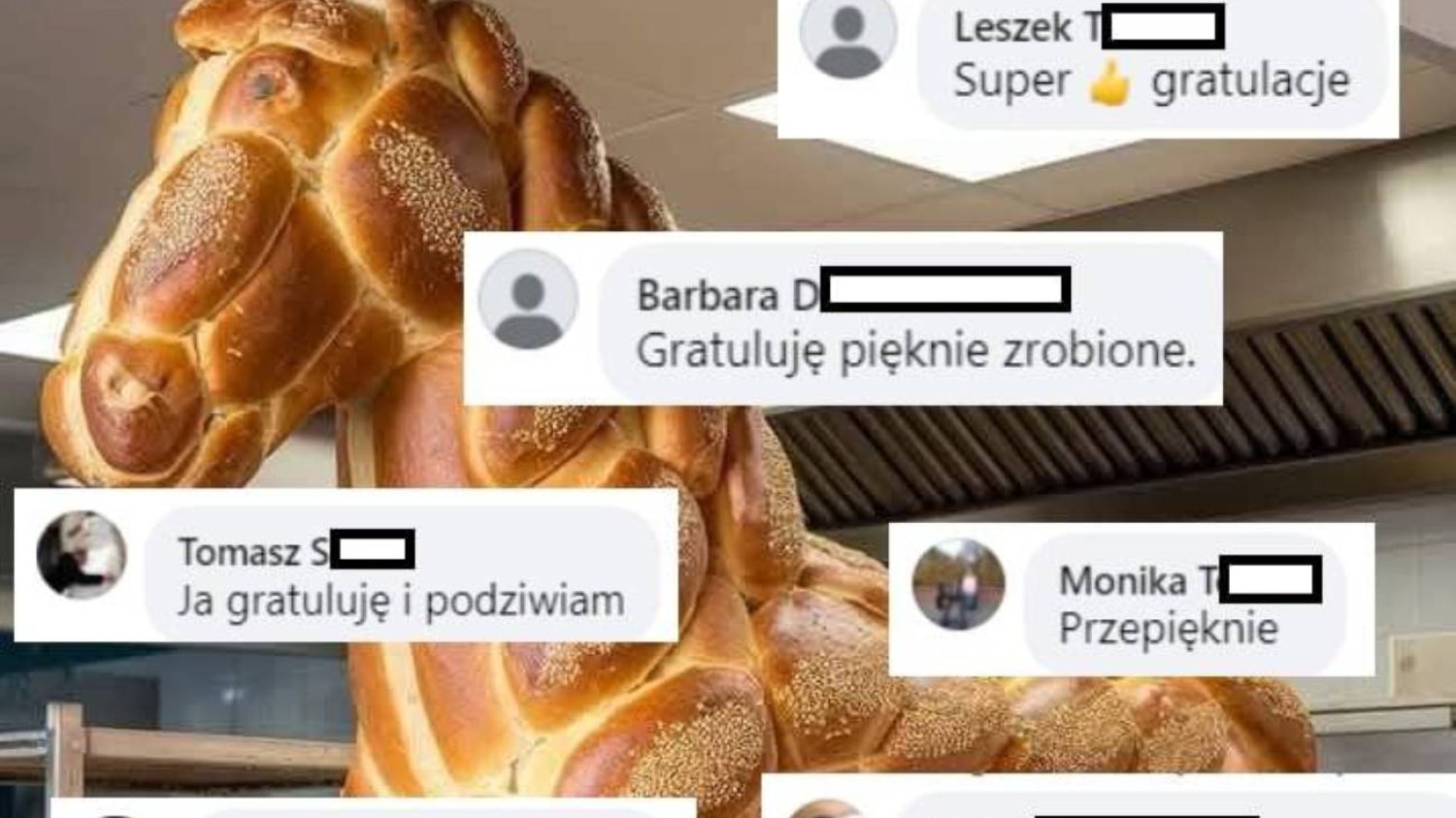 Chałkoń i komentarze pod oryginalnym postem.