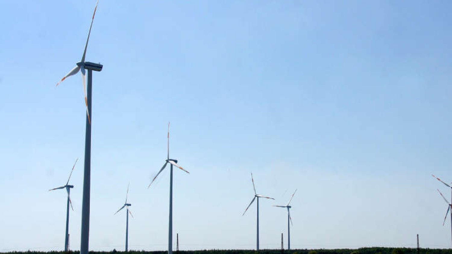 Tanie pożyczki dla firm chroniących środowisko i oszczędzających energię z Funduszu Ochrony Środowiska