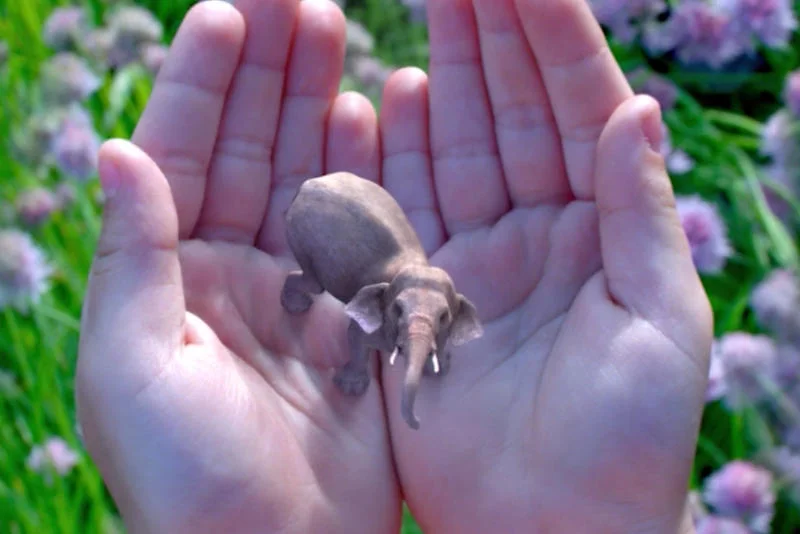 Dzięki Magic Leap widzisz wirtualne obiekty w świecie rzeczywistym.