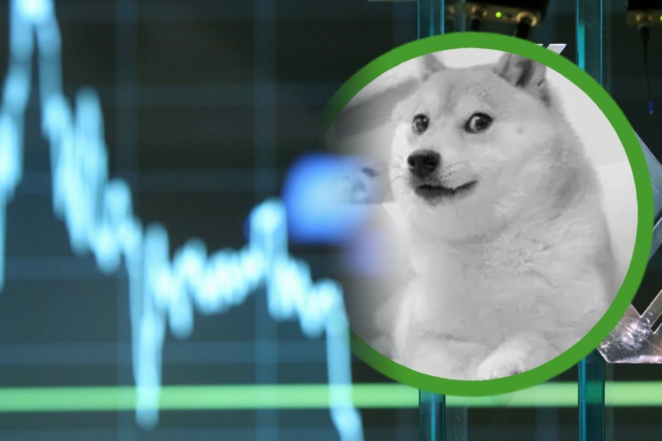 Zmarła suczka shiba inu Kabosu, znana lepiej jako “pieseł” z memów.