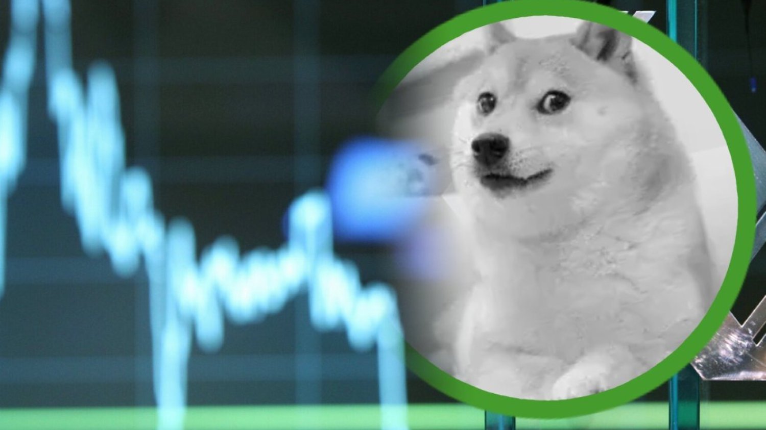 Zmarła suczka shiba inu Kabosu, znana lepiej jako “pieseł” z memów.