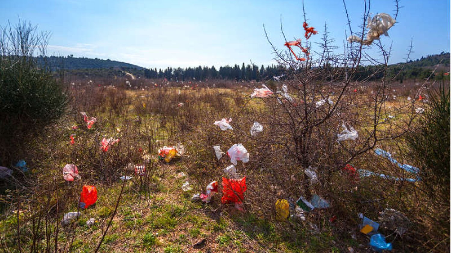 Biodegradowalny plastik, który zamiast 400 lat rozkłada się kilka tygodni, stworzyły naukowczynie z KUL