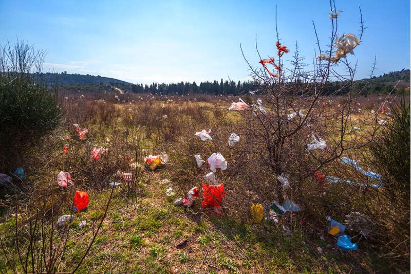 Biodegradowalny plastik, który zamiast 400 lat rozkłada się kilka tygodni, stworzyły naukowczynie z KUL