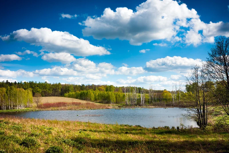 Warmia i Mazury słyną z przepięknych krajobrazów, malowniczych jezior oraz bogatych przyrodniczo parków krajobrazowych