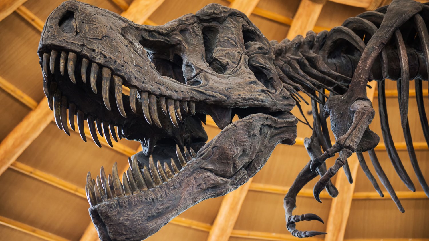 Dinozaury żyły pod zupełnie innym niebem niż ludzie.