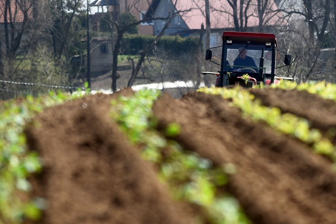 W Polsce zabraknie pracowników sezonowych z Ukrainy