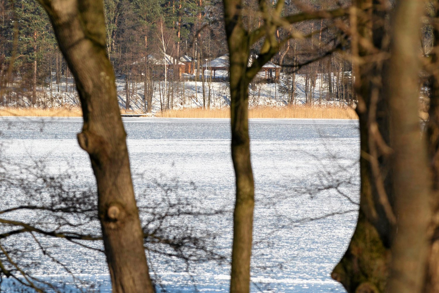Widok przez jezioro starokiejkuckie na obiekty szkoły szpiegów