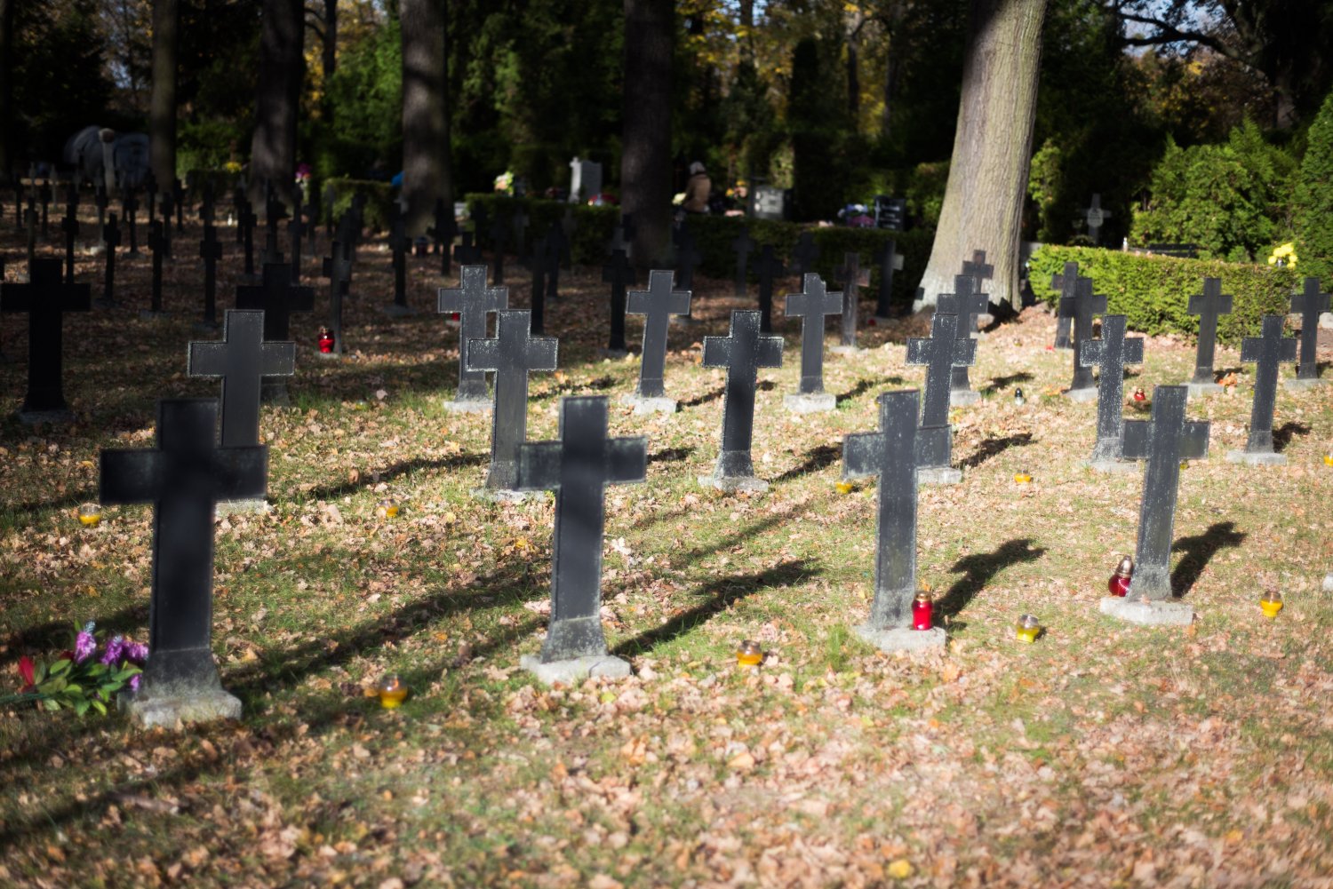 Liczba zgonów w Polsce wzrosła w porównaniu z poprzednim rokiem o 3 proc.