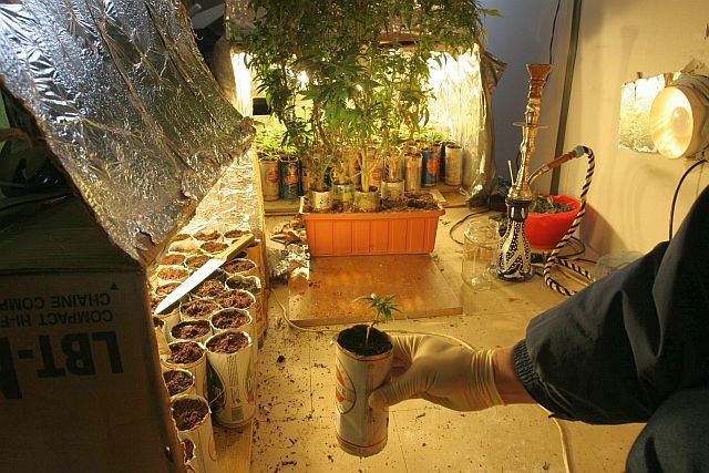 Co dzieje się z zarekwirowanym sprzętem do produckji narkotyków? Można go potem kupić w urzędzie skarbowym